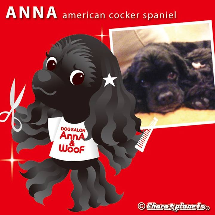 E941f22b 3fc9 40bd a4ff f11f3c798729