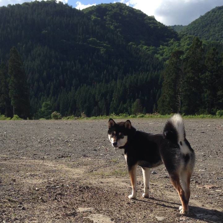 E94211f8 4b47 44ce 8b9a 0853413da19d