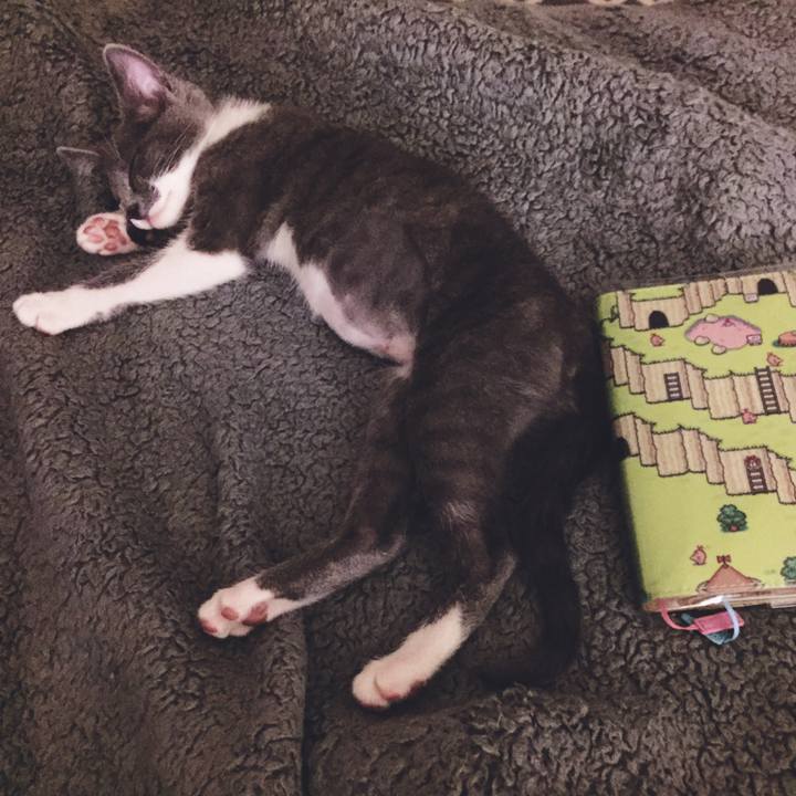 E9428951 c85c 49e0 b729 4c00ce88d1d1