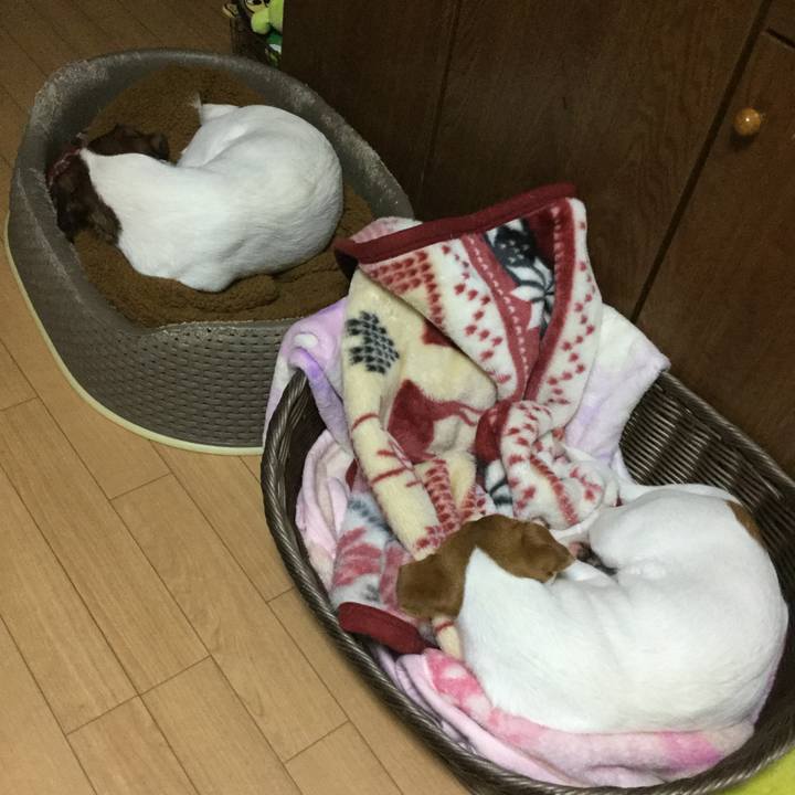 E942ffab d496 4bd0 a028 1e488d7227d5