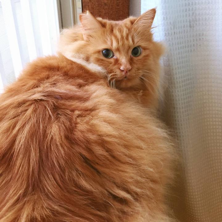 E9443200 963f 45aa b8e8 628690658575