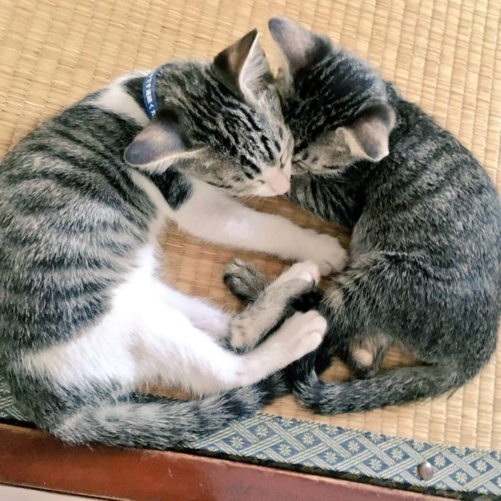 E9454a3a ad87 422a 9e69 8d6d8081f03e