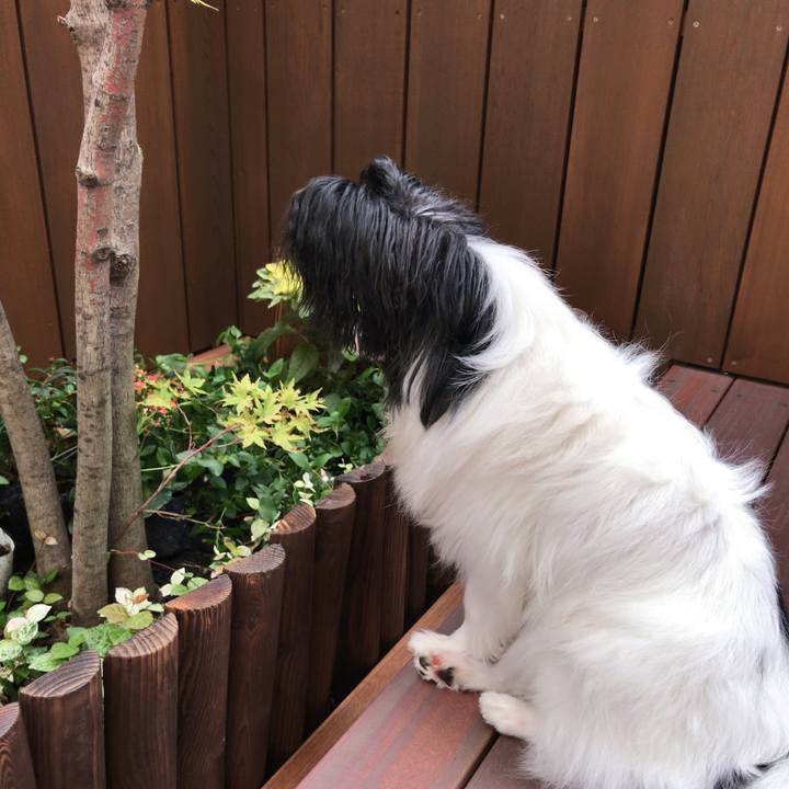 E9468ce7 cfab 4b90 9dcd 567303e66569