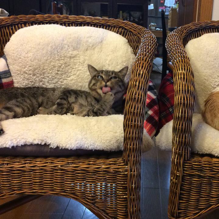 E9469a4c fd31 4520 87cf 08a49e34845f