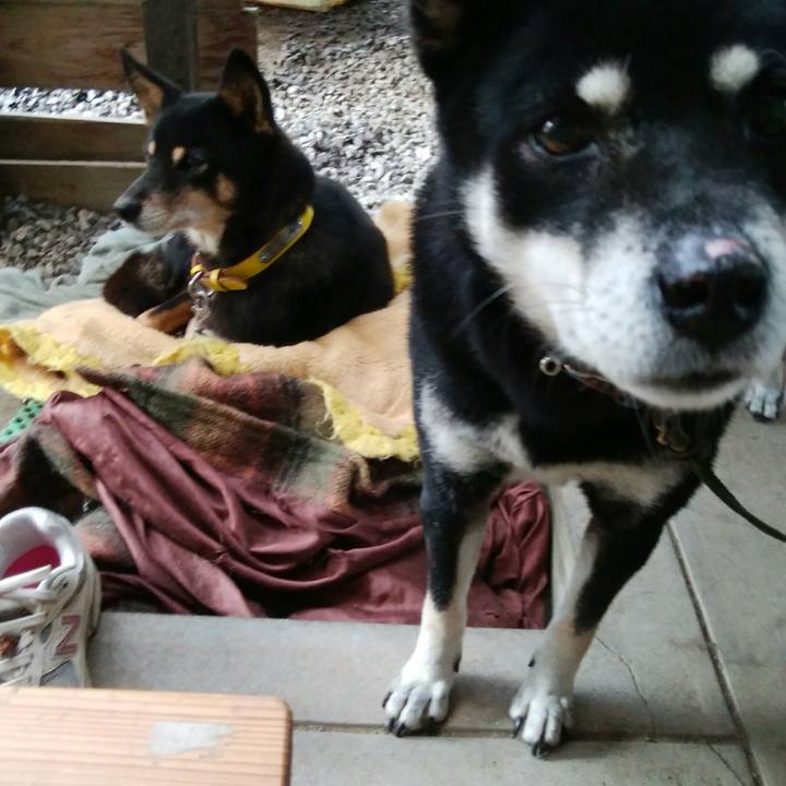 E94700a4 ee7a 42b9 962a 34ef798292c5