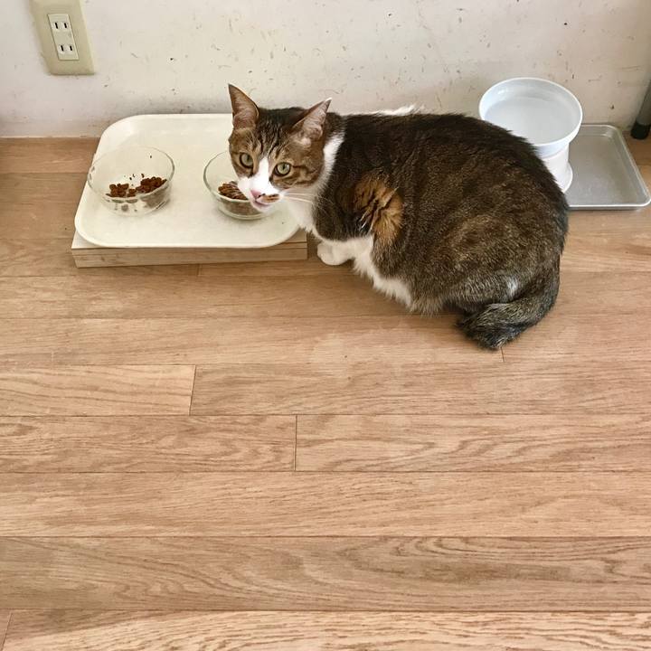 E9474ca1 3c9a 444c b757 cac9f8f86383