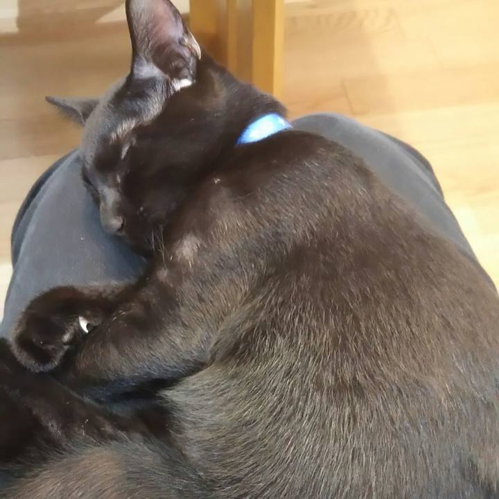 E947c840 391a 4858 b65f 4440e1d91f4c