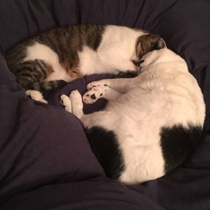 E9482414 14ef 4fb2 84ce 6e7e7328b8bf