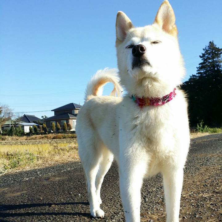 E948996f 848c 4823 b30c 0454e61328c5