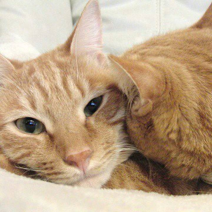 E9490fc6 7638 457f a13c 1559a57420db