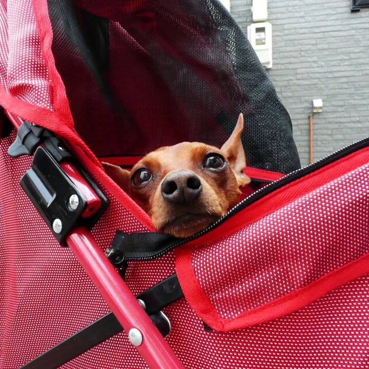 E949453c b028 426b 888f cf948e9ac14b