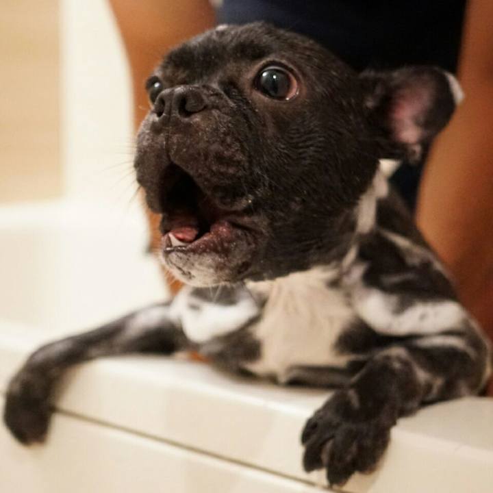 E949680f eb76 4676 ae98 3daf8e3ffe27