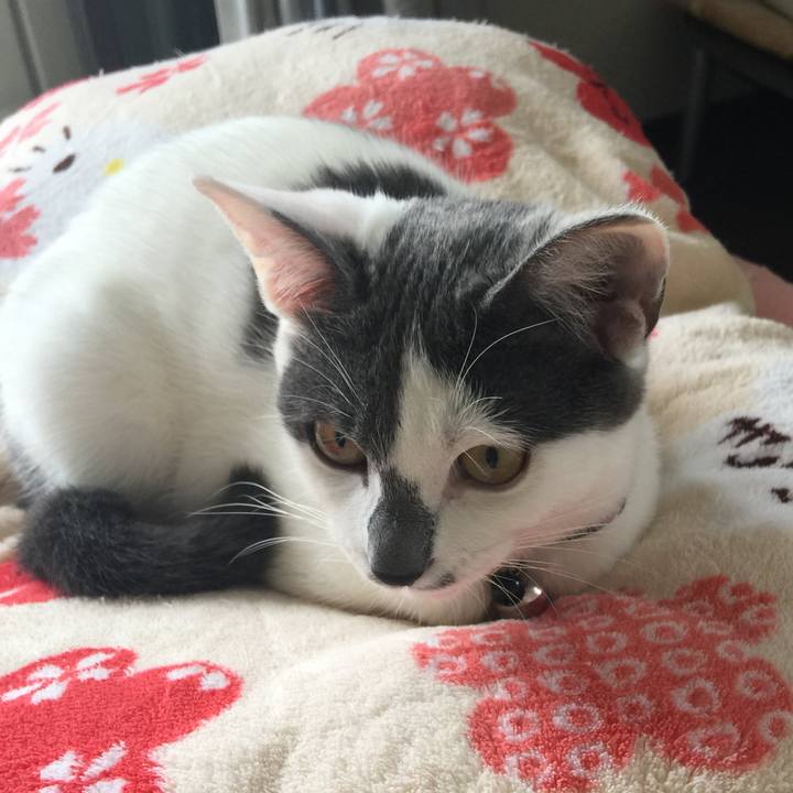 E94a1e6c 8f28 4a67 bdca 9adf0605ebcd