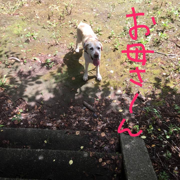 E94a4a66 7dd7 45e7 ad32 cda5a2f97544