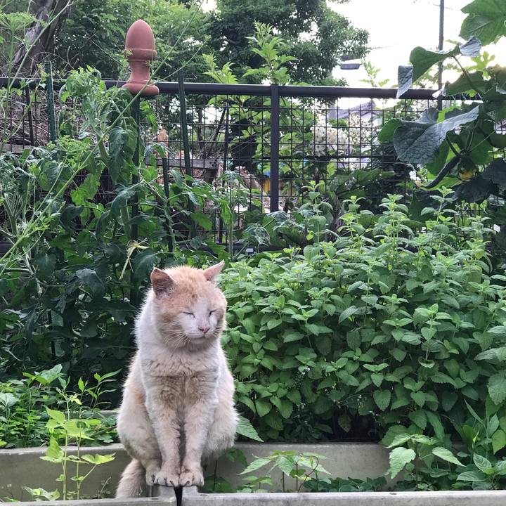 E94a81c1 41dd 4b74 ab38 3a61d97d7b51