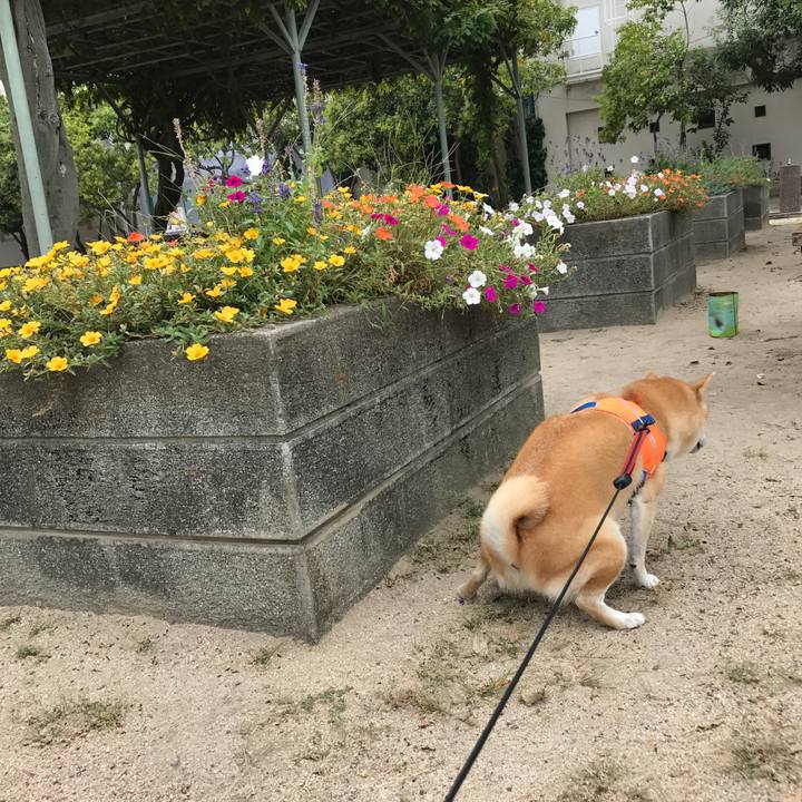 E94adfb7 4fa0 4376 9405 0977e4031015