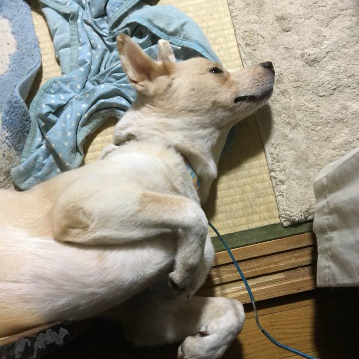 E94aec92 6457 4e13 ae97 5f6cd7318085