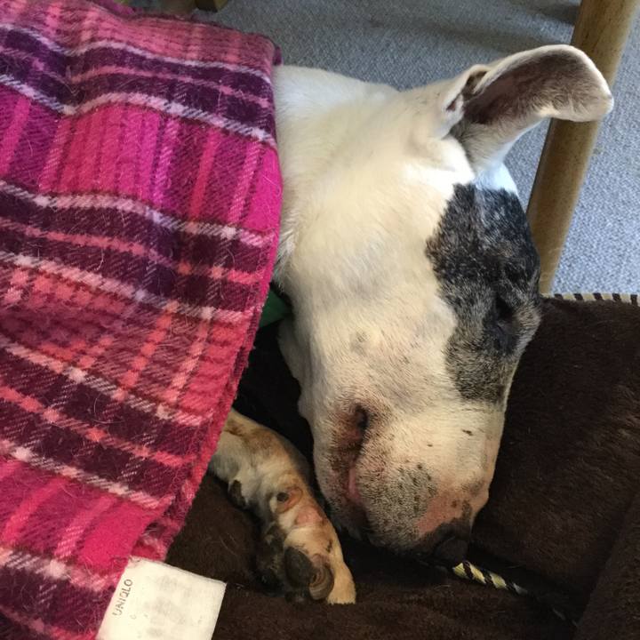 E94b222d f1b6 4b6d b188 ee86761c9c8c