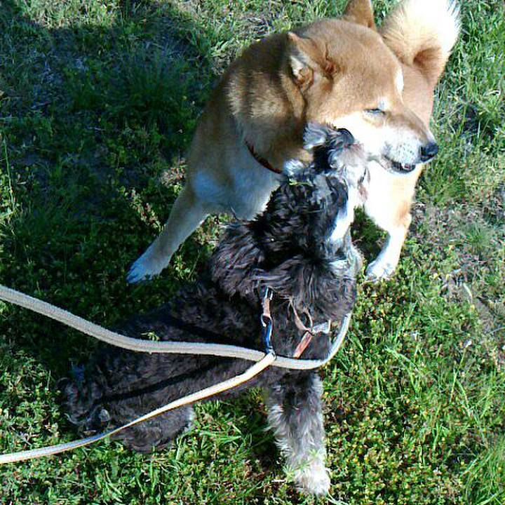 E94b4bc7 7843 4892 930a da17520d74f8