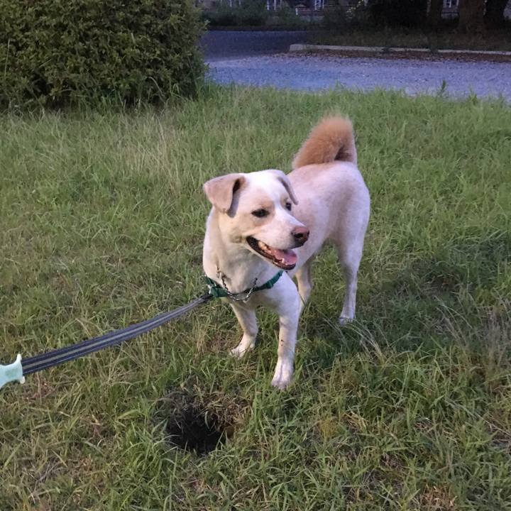 E94b6068 9625 4bf6 9292 06abdaf1d00b