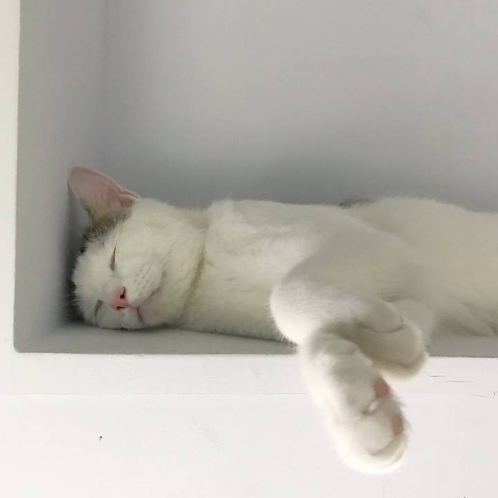 E94ba1df c031 4940 9e0d 2aad782af4c6