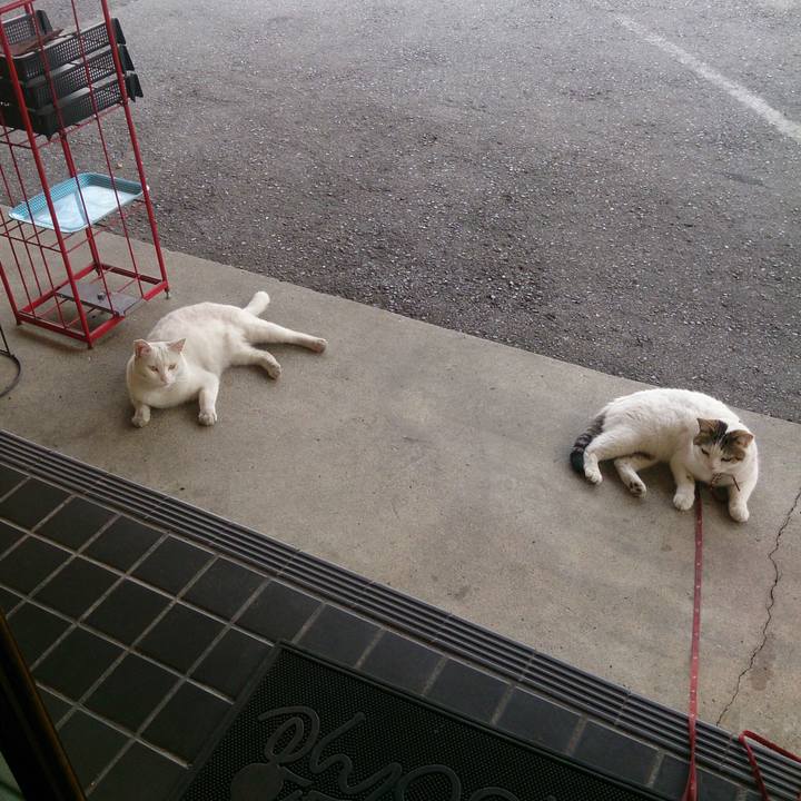 E94bfdb0 4f95 409a a8d9 264595b93ffc