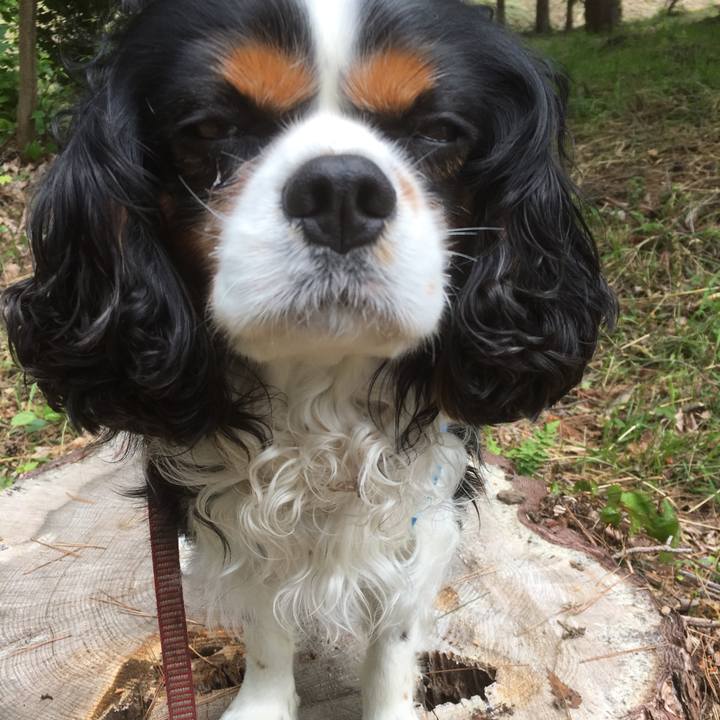 E94cc8a1 8085 4120 b642 5e58f136eba4