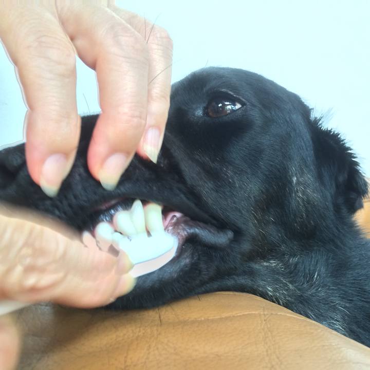 E94cf0af f5f9 4fd9 9c71 a233276adc35