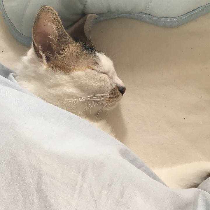 E94cf0fe c90d 42ae 9a8e 79d6ad18a73f