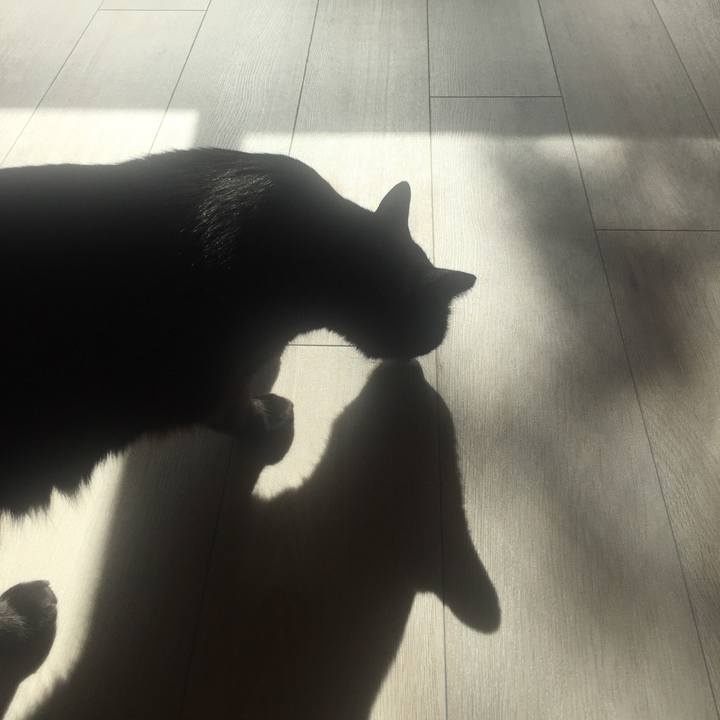 E94cf9df 650f 4770 836f 48f18714ef3b