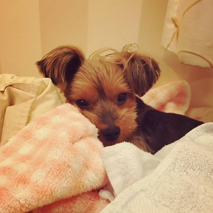 E94d09b3 6009 43e0 b86a 4ec5514a10d8