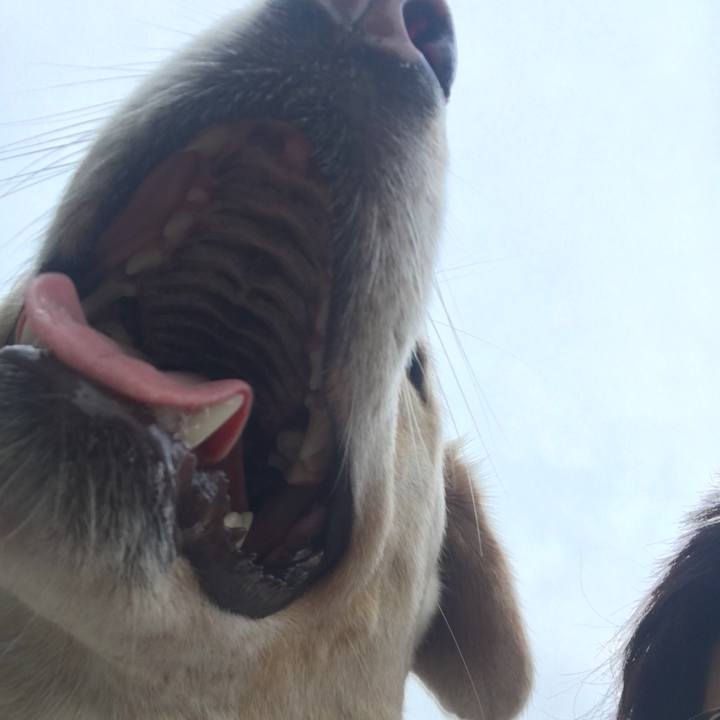 E94d730b 0448 4555 93b7 27dea658846f