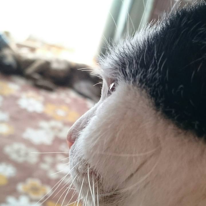 E94d8edd cfff 4cd7 bc7f 4dd5d31f1680