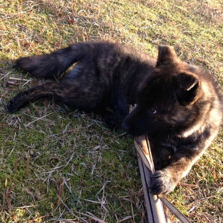 E94ee232 d081 4a08 8b7c 5715418f990e