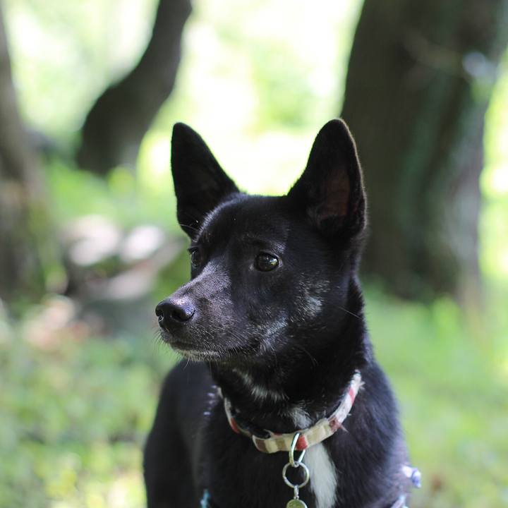 E94f5739 3cba 4e40 942c 128199019c5d