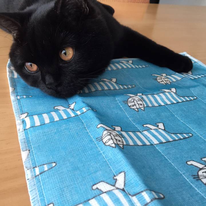 E94f88a7 8ec0 423b b65d 3f9da4ff966c