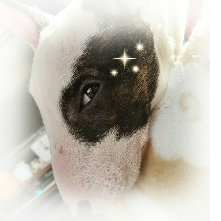 E94f8ffa 9b50 4707 97b9 99cf66cf5565