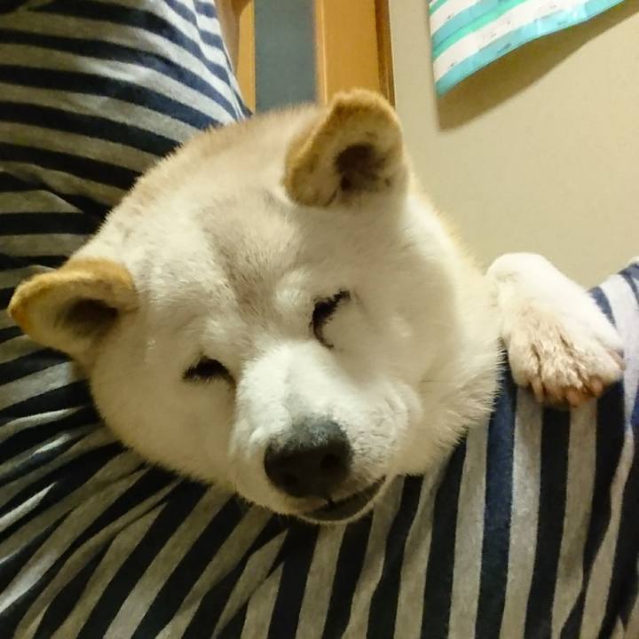 E94fc3c3 d816 498b a743 6918c4b9930d