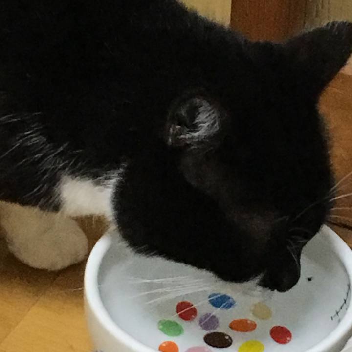 E94fc7a0 e86d 4f6b b460 785284348524