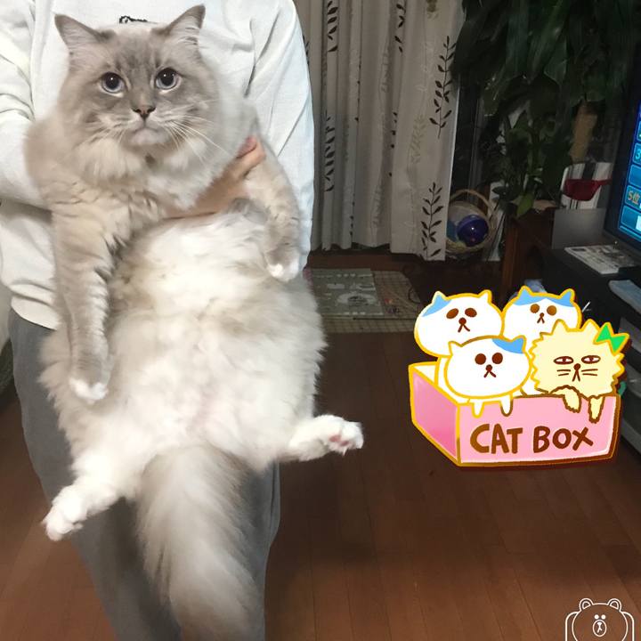 E94fe779 5b0e 4783 a140 c6d5c6e74e87