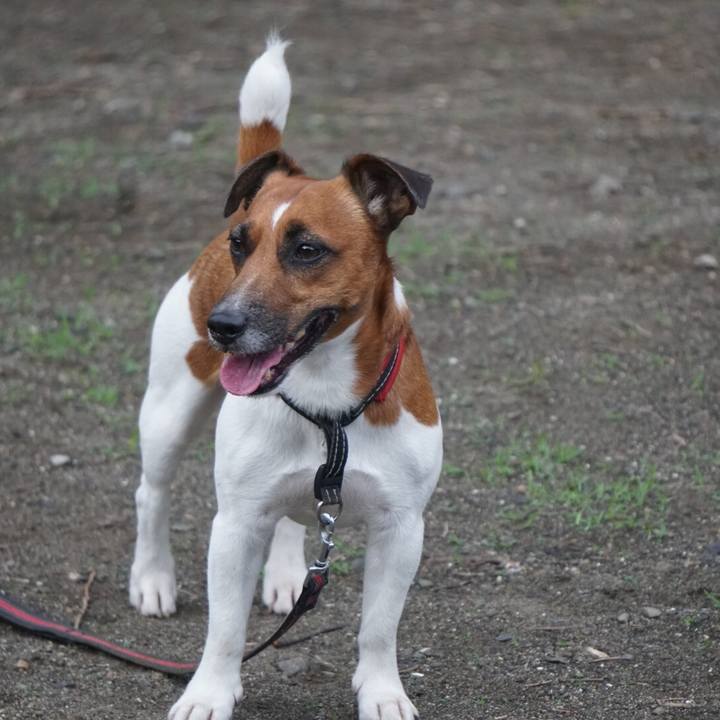 E9501283 b584 4d75 a9e7 a45cdc81741c