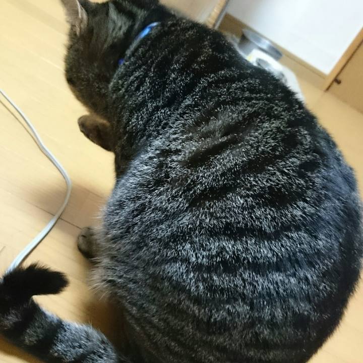 E9509347 7412 4abf bf38 8de2a642599e