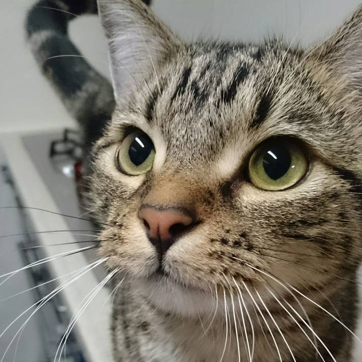 E950c6dc c4bc 4a6a 8438 6f391ccdf535