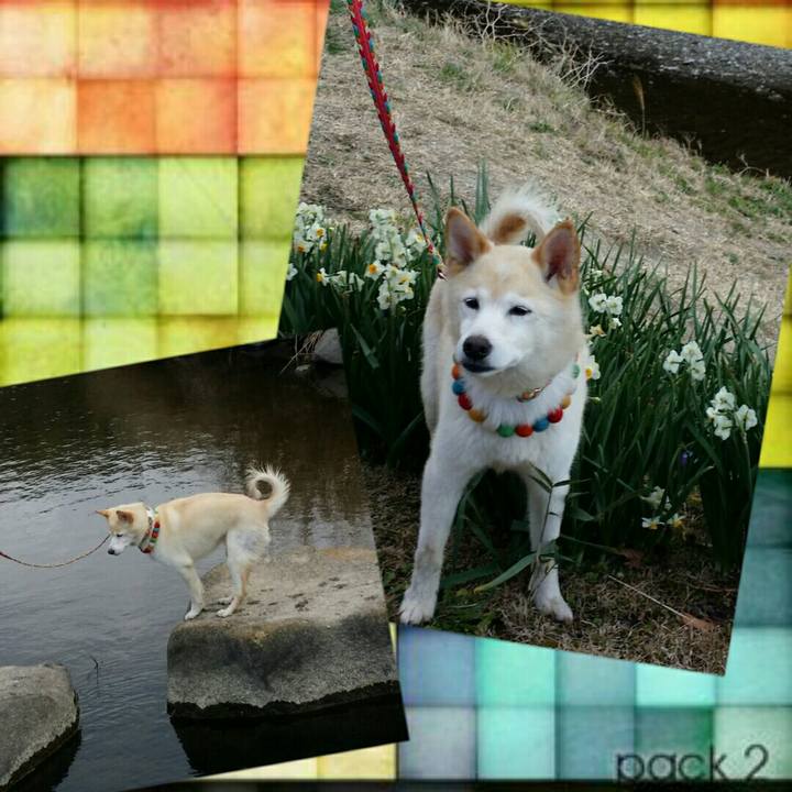 E95146ca 4e22 4824 9c69 98ec419a4f94