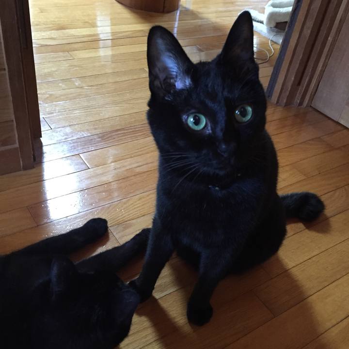 E9518b3a 900d 4413 b757 1edd723cd169