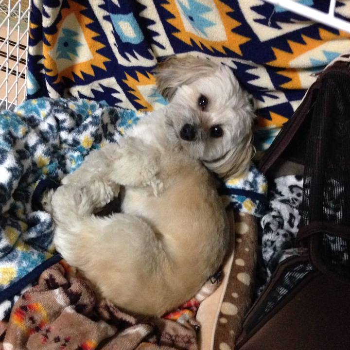 E951b2c6 440c 48cb 9732 4512a44cbae2