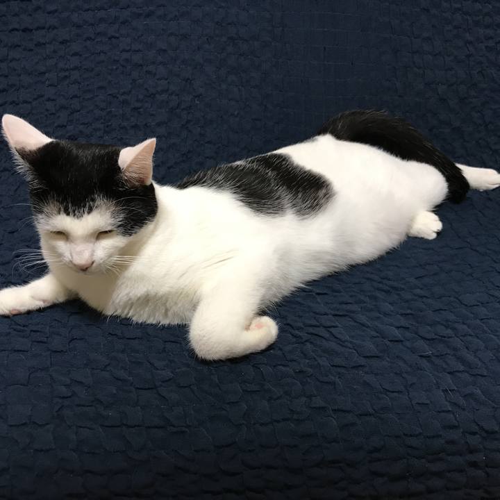 E951cda9 f14b 4796 8e94 f881cf0ad285