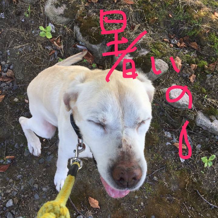 E95223ff 4cc3 4b7b 844c 1d2a4b609101