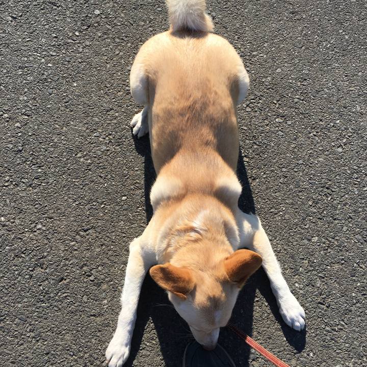 E9527399 5a40 4d76 bf6b e1ec5c6ea151