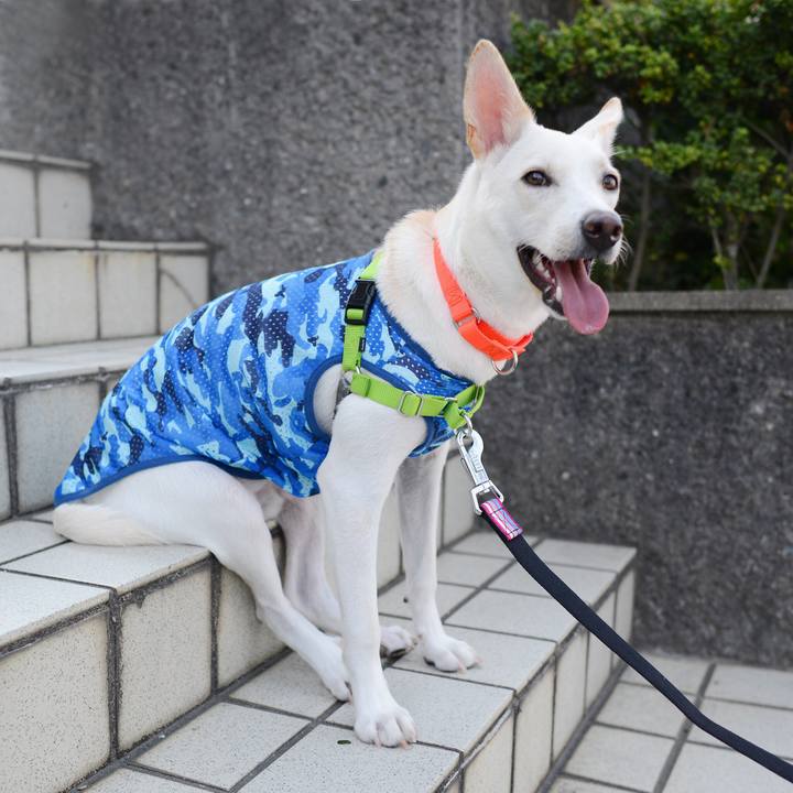 E95330fa 97f7 4c68 8409 8d9f2de4546c